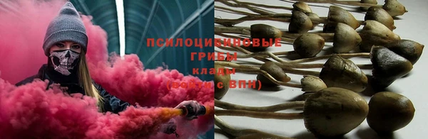 амф Абаза