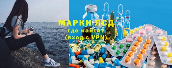 прущие грибы Алексеевка